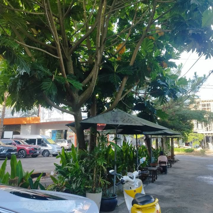 Nhà hẻm 21 Trần Phú Bảo Lộc 110m² giá 3.5 tỷ - Đầu tư sinh lời tốt!