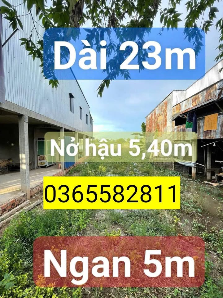 Đất nền ấp Vĩnh Bình, xã Vĩnh Trường, huyện An Phú - Diện tích 110m² chỉ 495 triệu - Cơ hội đầu tư hấp dẫn!