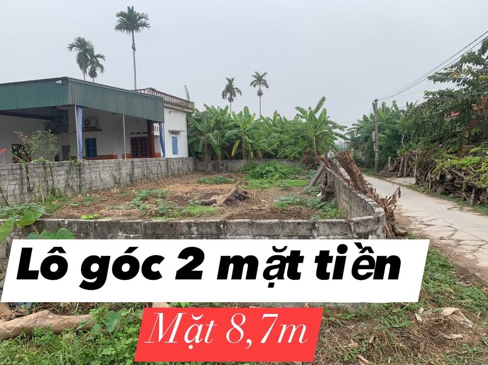 Đất lô góc An Thanh Tứ Kỳ 175m² giá 1 tỷ - Đầu tư sinh lời hấp dẫn!