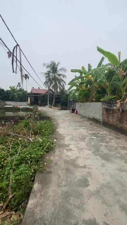 Đất thổ cư thôn Đồng Kênh - 200m² - Đầu tư sinh lời ngay!