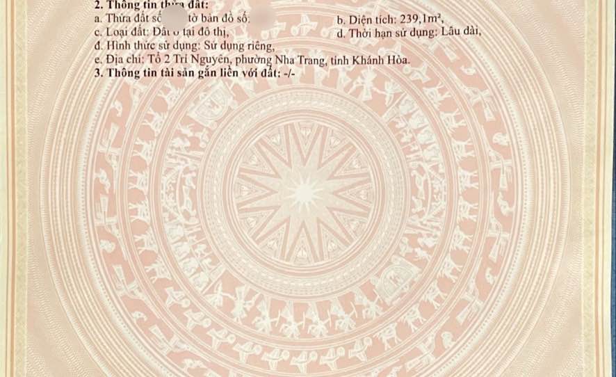 Đất nền Vĩnh Nguyên Nha Trang 239m² giá 7.887 tỷ - View biển tuyệt đẹp!