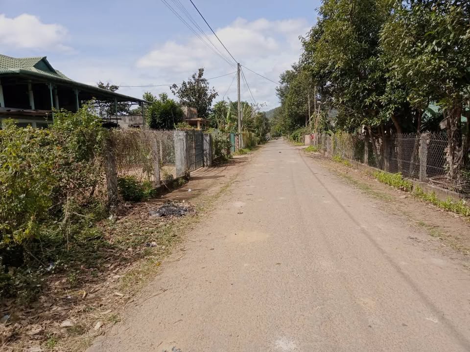 Đất thổ cư 260m² tại Hòa Phú, Chư Păh chỉ 230 triệu - Cơ hội đầu tư tuyệt vời!