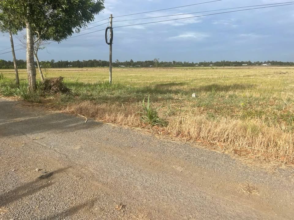 Đất nền tại xã Long Phú, Sóc Trăng 372m² chỉ 270 triệu - Sổ đỏ chính chủ!