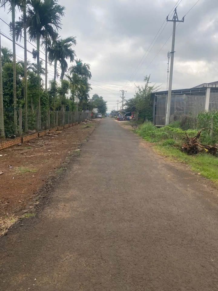 Đất thổ cư Ea Kao 205m² giá 720 triệu - Đường nhựa ô tô né nhau thoải mái!