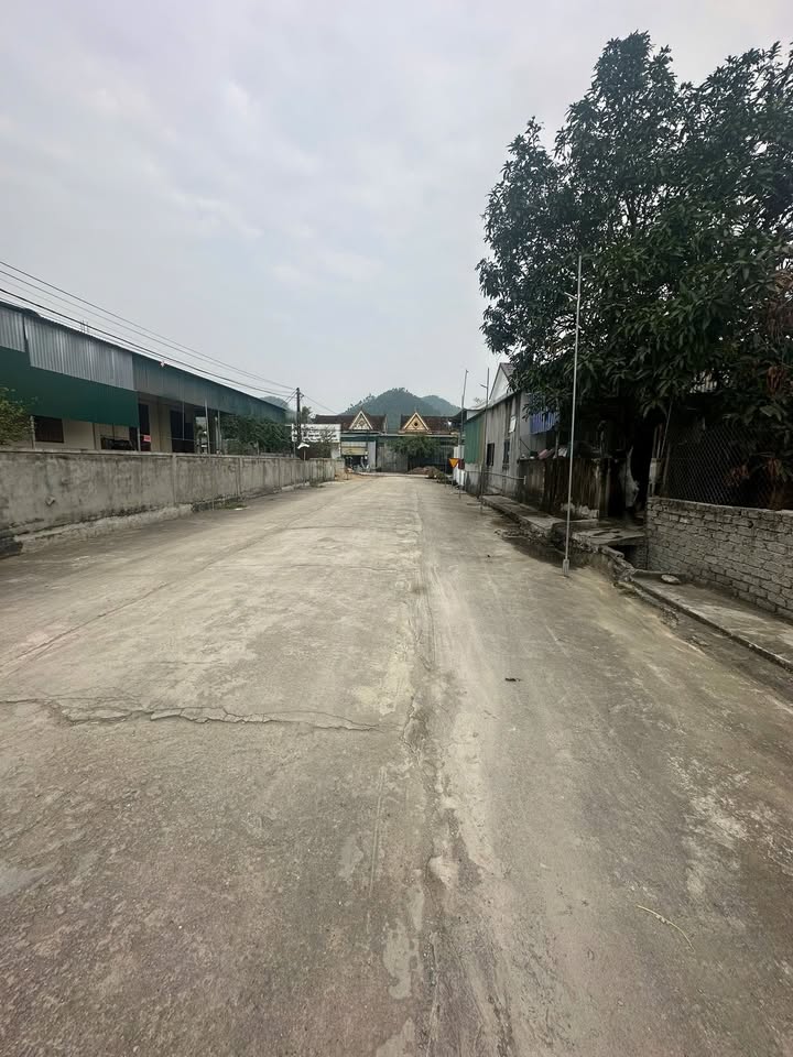 Đất Tân Thành Yên Thành 210m² giá 1 tỷ - Đường 3 ô tô tránh nhau, cơ hội đầu tư tuyệt vời!