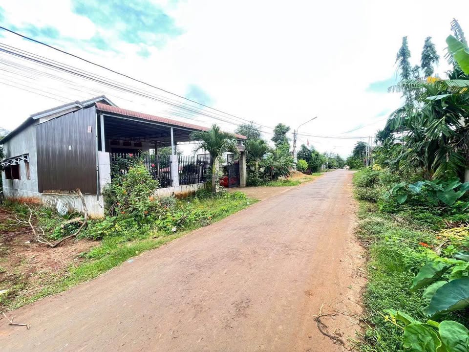 Đất nền Ea Kao 165m² giá 1.58 tỷ - Mặt tiền đường nhựa kinh doanh sầm uất!