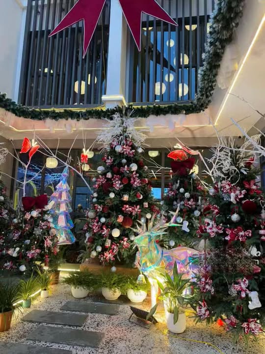 Mặt bằng kinh doanh Nguyễn Xiển 195m² giá 55 triệu - Vị trí đẹp, kinh doanh sầm uất!