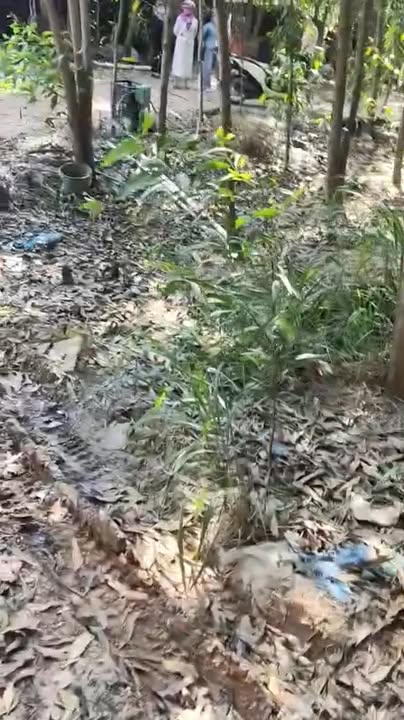 Đất thổ cư 100m², vườn rộng 2000m² tại Vĩnh Tân - Đồng Nai chỉ 2 tỷ