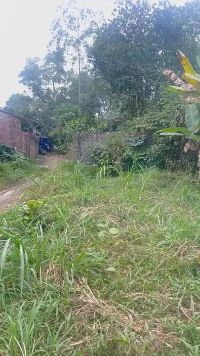 Đất nền đẹp tại xã Thành Công, TP. Phổ Yên 3109m² - Tiềm năng tăng giá cao!