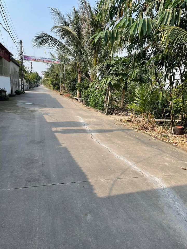 Đất nền Văn An 100m² giá tốt - Sẵn sàng đầu tư!