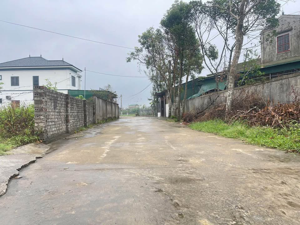 Đất Nền Nghi Thái 96m² giá 1.15 tỷ - Đường thông rộng ô tô tránh nhau!