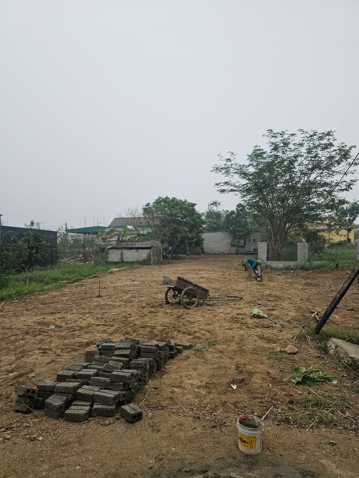 Đất Nghi Thạch Nghi Lộc 223m² giá 3 tỷ - Cơ hội đầu tư vàng!