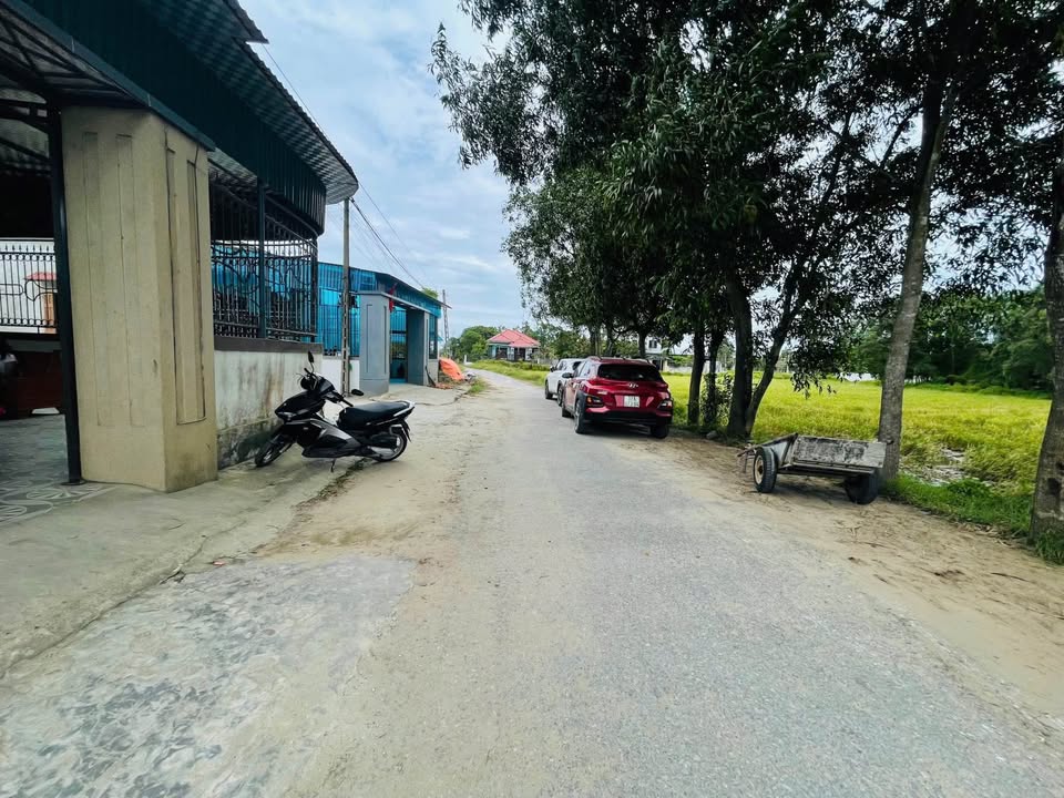 Đất Nghi Phong, Nghi Lộc 110m² giá 2 tỷ - Tiềm năng đầu tư cao!