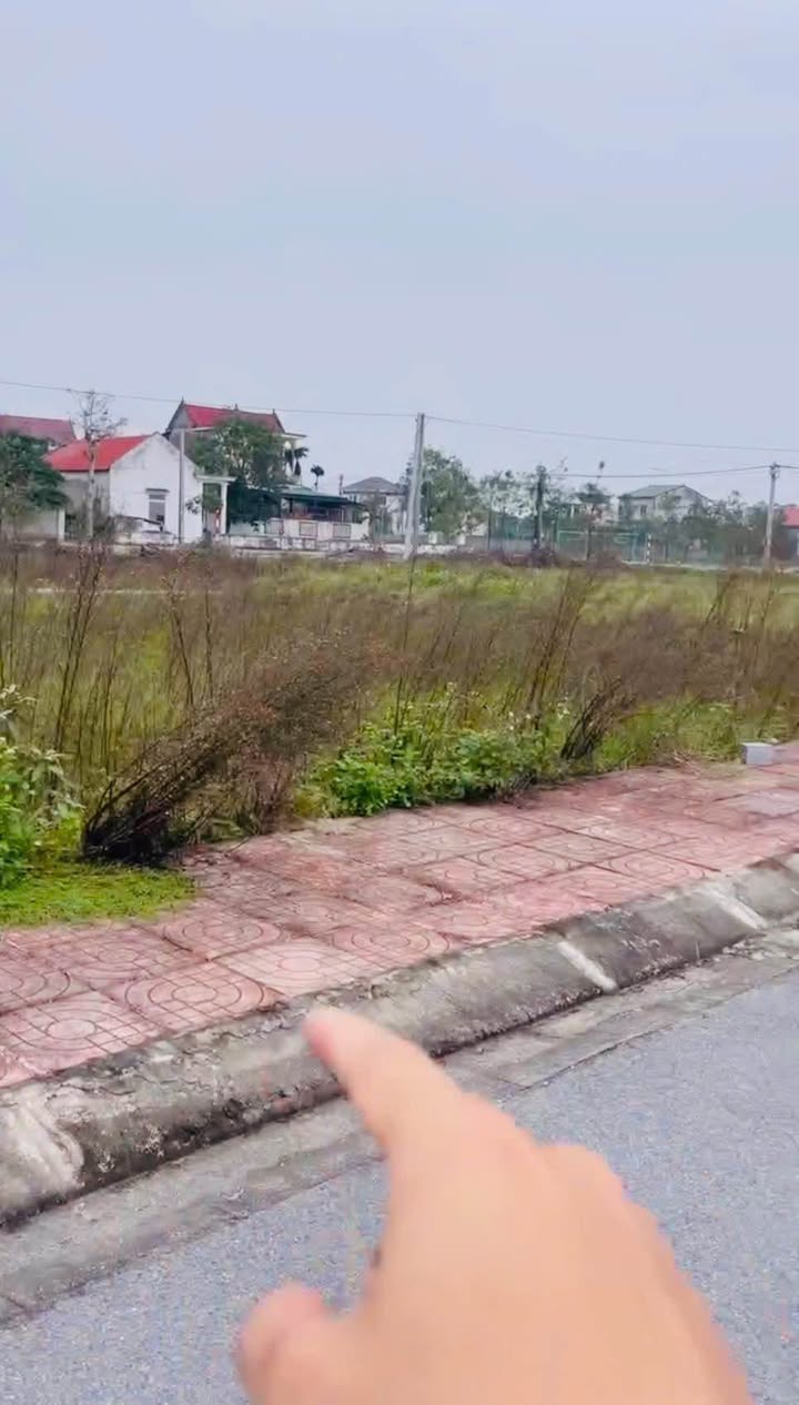 Đất đấu giá xóm 1, Nghi Phong 180.9m² giá 5 tỷ - Tách thửa hỗ trợ ngay!