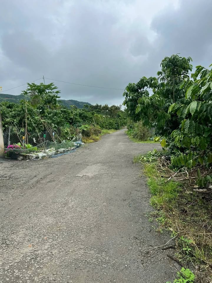 Đất Lộc Đức, Bảo Lâm 2.2 sào giá 900 triệu - Mặt tiền đường nhựa sát khu dân cư