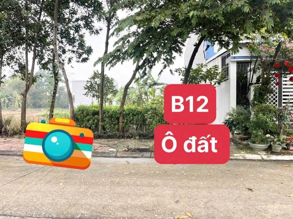 Đất nền Kim Long, Tam Dương 110m² giá 1.9 tỷ - Đầu tư sinh lời ngay!