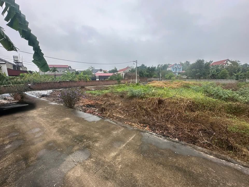 Đất Phù Lãng Quế Võ 80m² giá 1 tỷ - Đầu tư sinh lời tuyệt vời!