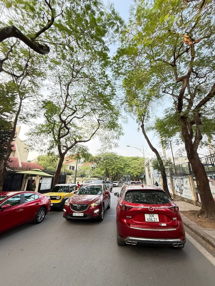 FrontHouse Vạn Bảo 50m² giá 25.4 tỷ - Ô tô tránh, dân trí cao!