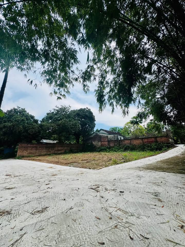 Đất nền 100m² tại Trưng Vương, Việt Trì - Giá chỉ 2.5 tỷ, đầu tư sinh lời!