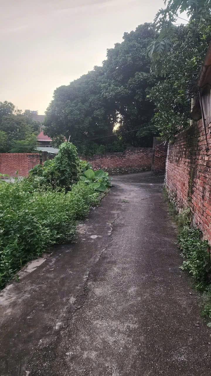 Đất nền Ngô Xá, Phật Tích, Tiên Du 72m² giá 1 tỷ - Sổ hồng chính chủ, giao dịch nhanh gọn!