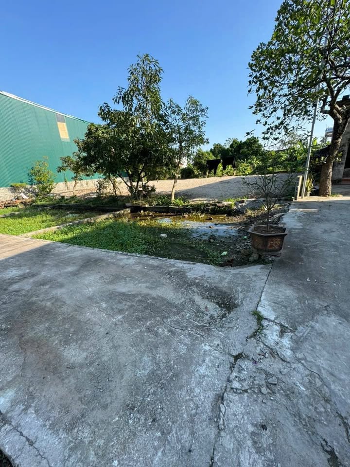 Đất nền Hồng Vân - Thường Tín, 40.5m² giá 3 tỷ - Lô góc đắc địa, ô tô đỗ cửa!