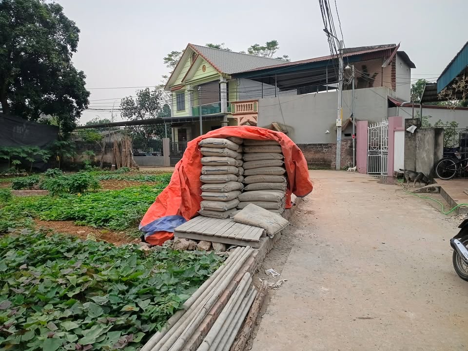 Nhà cấp 4 tại Phường Minh Phương, Việt Trì 115m² giá 2 tỷ - Chính chủ bán gấp!