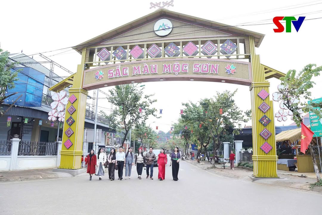 Đất rừng thông Bản Áng Mộc Châu 692m² - Vị trí siêu đẹp, đầu tư sinh lời!