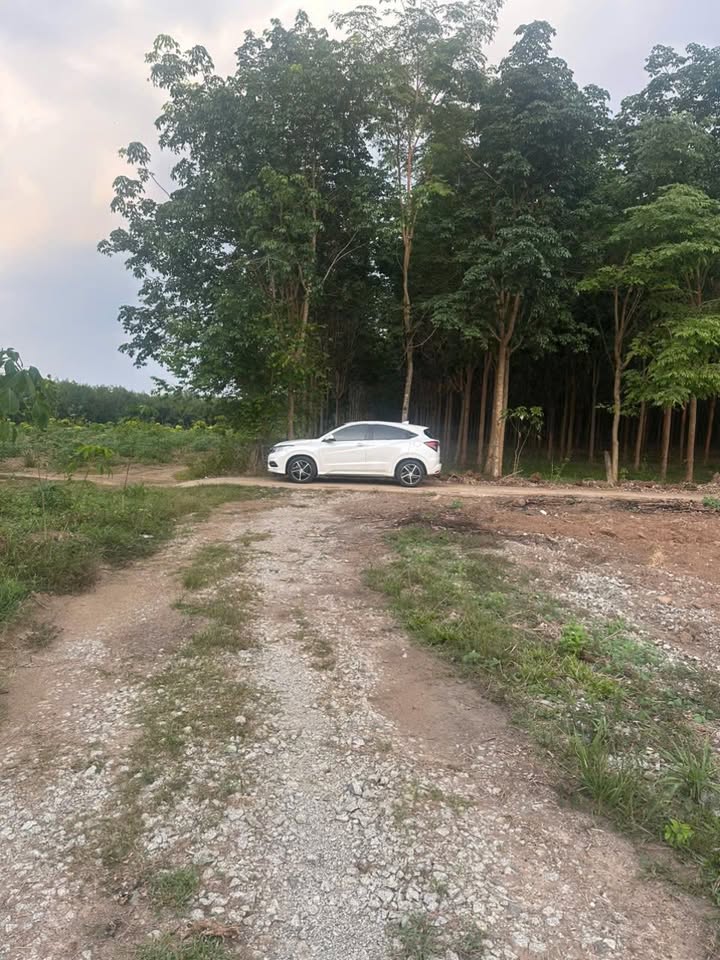 Đất nền 2000m² xã Tân Thành, Đồng Xoài - Giá chỉ 399 triệu, cơ hội đầu tư tuyệt vời!