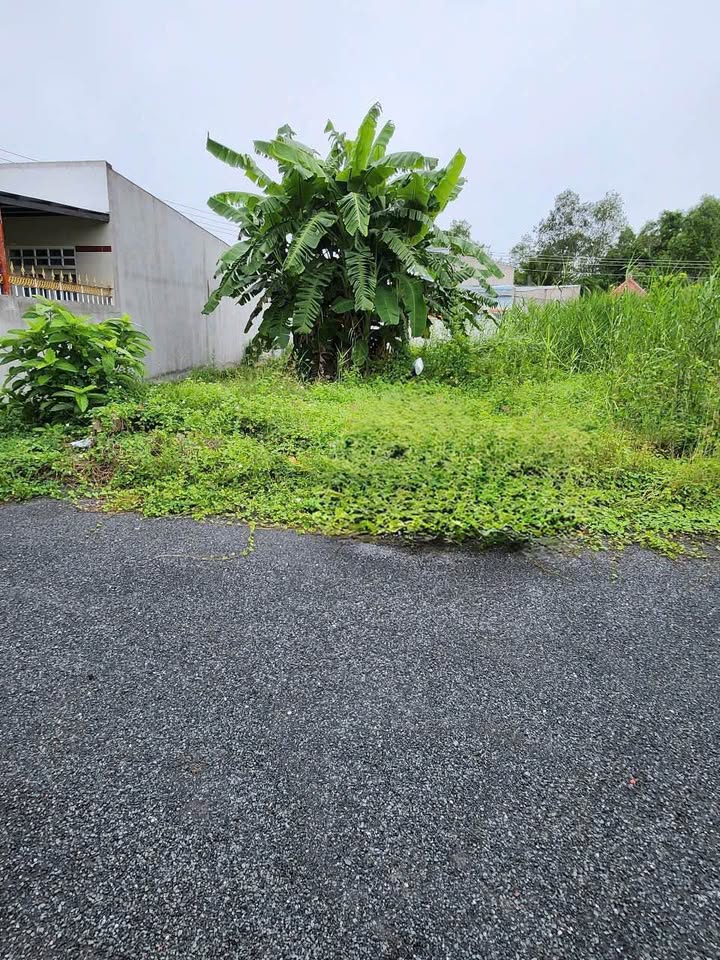 Đất nền liền kề KDC Trường Giang, Tân Hạnh, Vĩnh Long 99.6m² giá 850 triệu - Sổ hồng chính chủ!