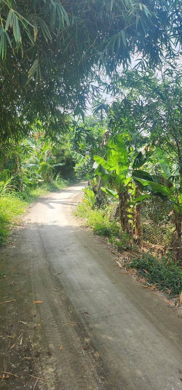 Đất nền phường Thanh Đức 1500m² giá chỉ 800 triệu - Cơ hội đầu tư tuyệt vời!