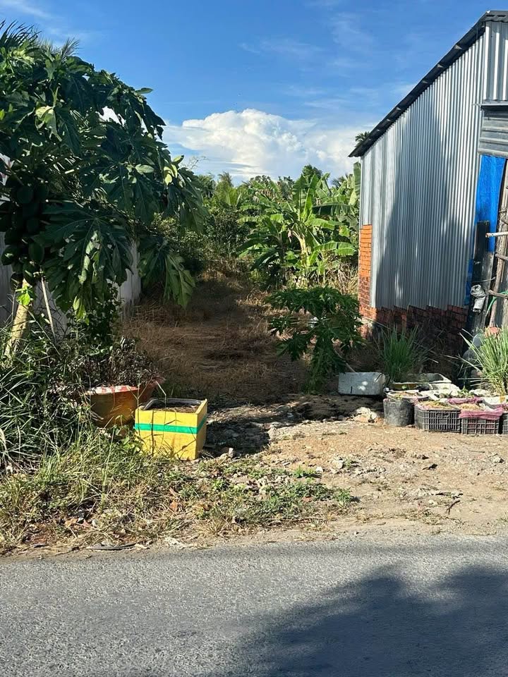 Đất thổ cư mặt tiền đường huyện 22B, Vĩnh Long 247.5m² - Cơ hội đầu tư sinh lời!