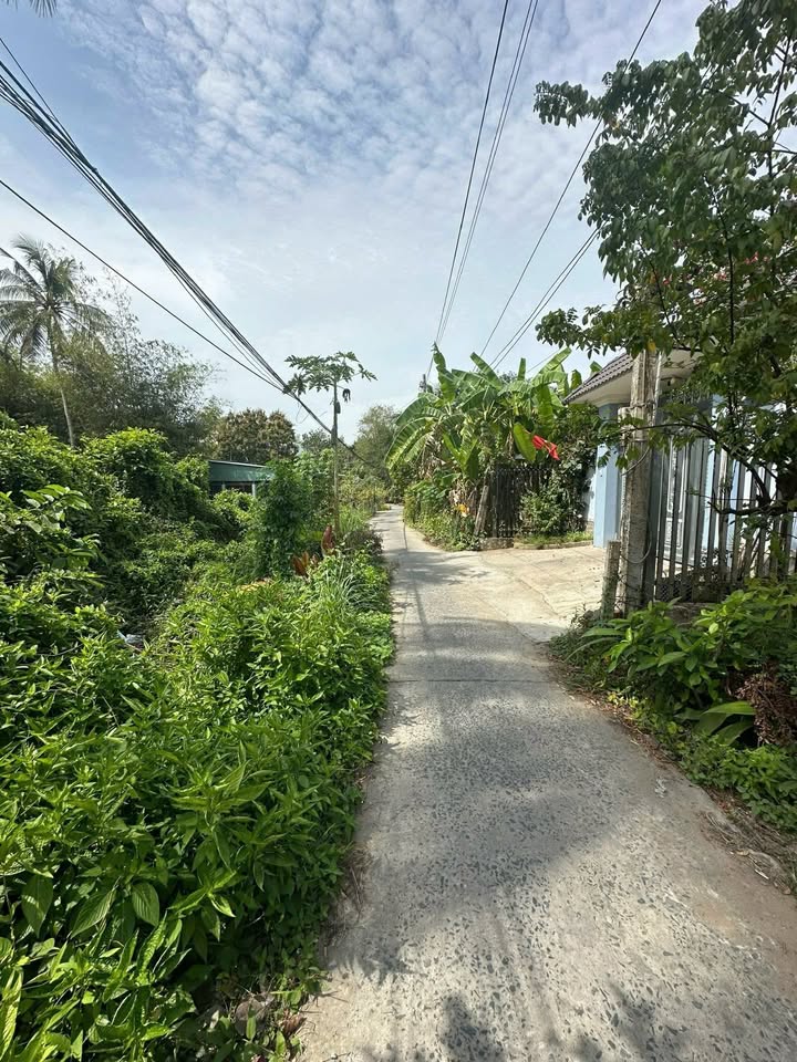 Đất thổ cư phường Long Châu, Vĩnh Long 1200m² - Gần trung tâm hành chính