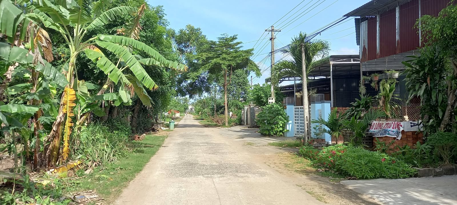 Đất thổ cư mặt đường Quang Trung, Cư Jút 300m² giá 960 triệu - Gần mọi tiện ích!