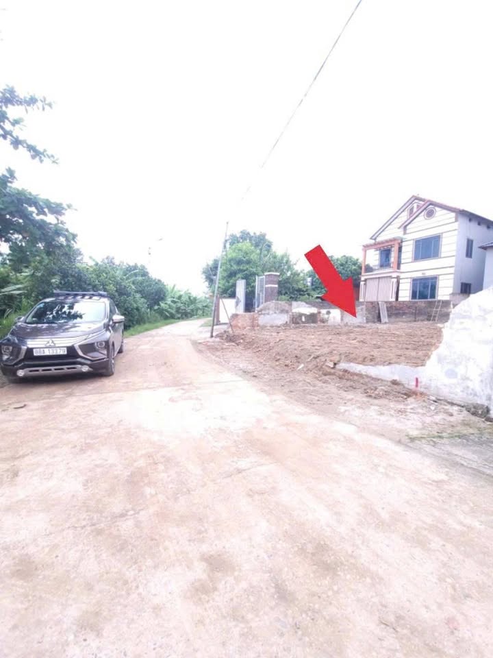 Đất thổ cư 100m² tại Thôn Đình, Thanh Vân, Tam Dương - Giá chỉ 1.1 tỷ, cơ hội đầu tư tuyệt vời!