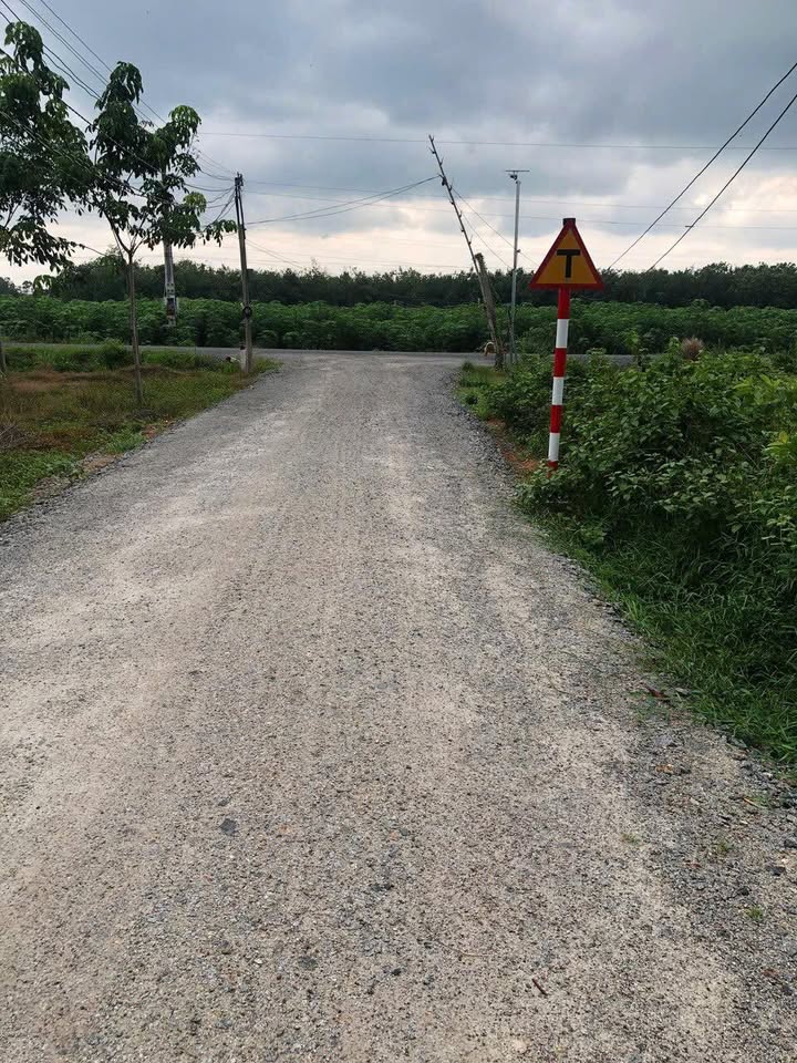 Đất nền Suối Đá Dương Minh Châu 150m² giá 265 triệu - Cơ hội đầu tư hấp dẫn!