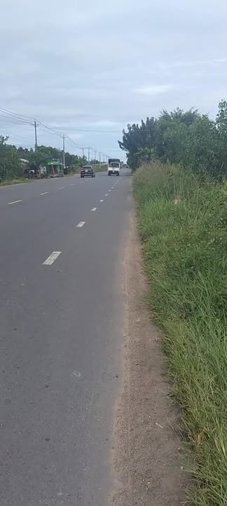 Đất nền mặt tiền đường 795, xã Thạnh Phú, huyện Tân Châu, Tây Ninh 10,000m² giá 6.5 tỷ - Đầu tư sinh lời ngay!