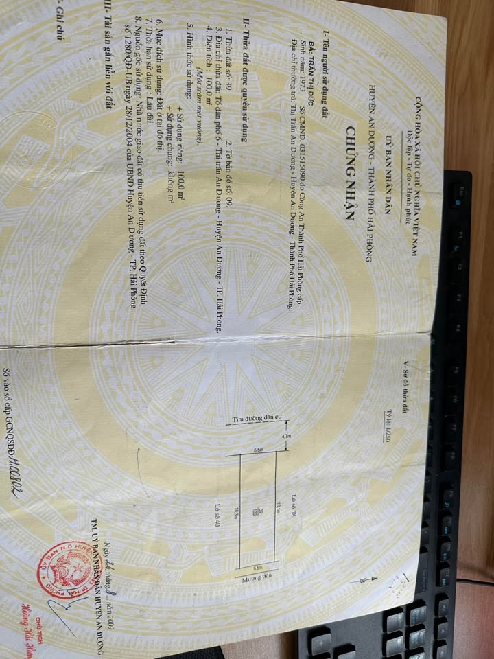 Đất nền Thị trấn An Dương 100m² giá 3 tỷ - Vị trí đắc địa, giao thông thuận lợi!