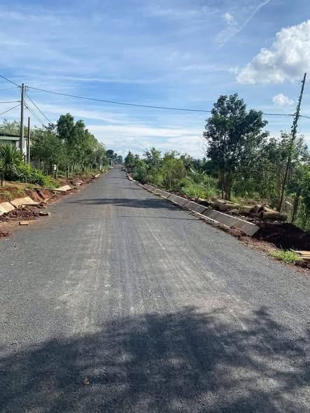 Đất thổ cư 800m² tại Lạc Long Quân, An Bình chỉ 380 triệu - Đầu tư sinh lời ngay!