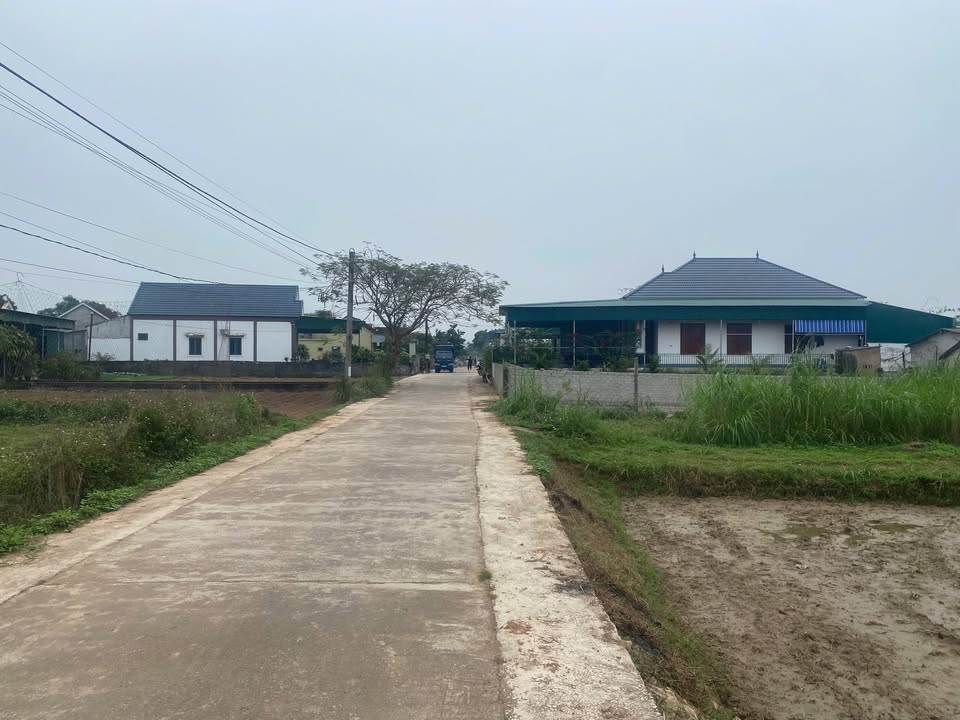 Đất nền 187.5m² tại Xã Nghĩa Hội, Nghệ An - Giá chỉ 700 triệu, đầu tư sinh lời!