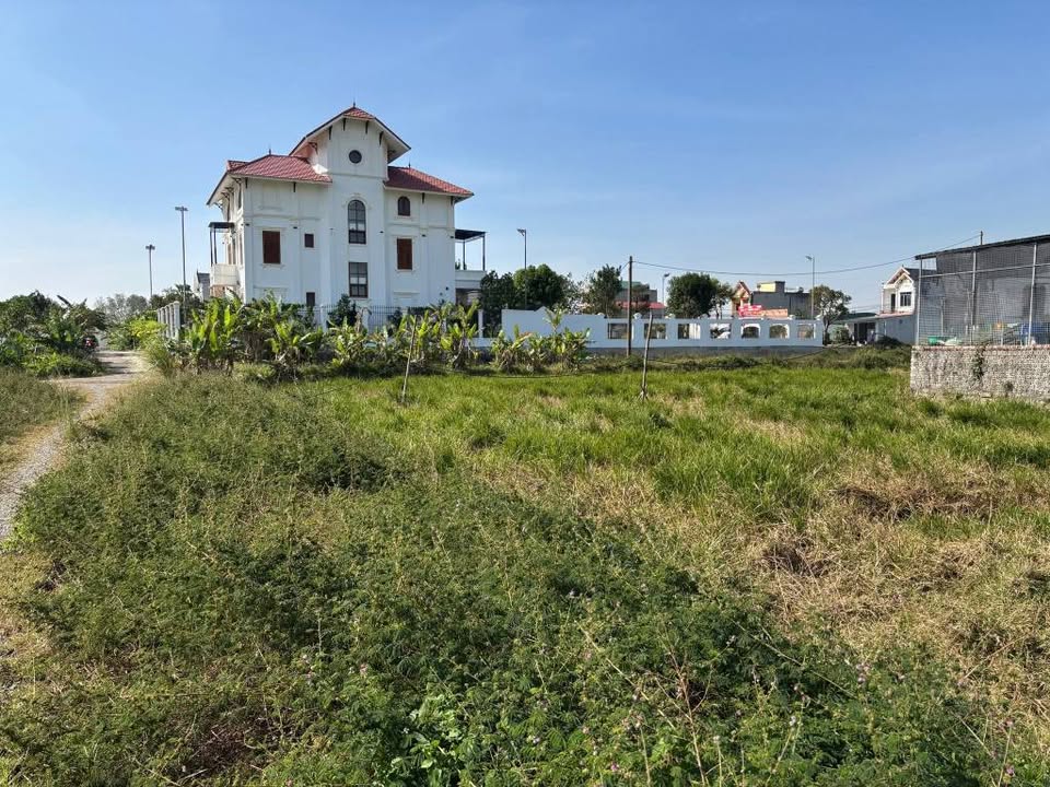 Đất nền Thuần Lộc, Hậu Lộc 175m² giá 1.2 tỷ - Cơ hội đầu tư sinh lời!