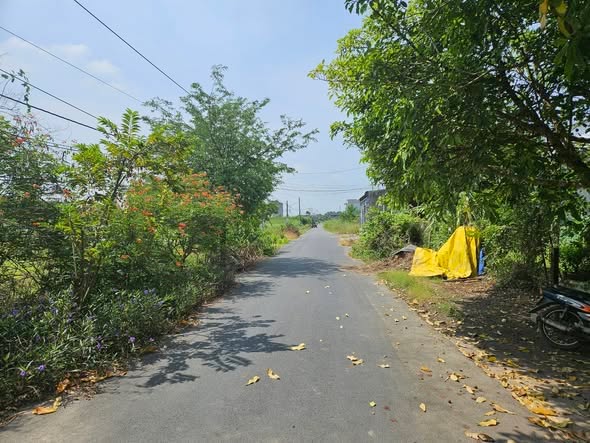 Đất mặt tiền nhựa Tân Hải, Phú Mỹ 342m² giá 2.5 tỷ - Sổ đỏ chính chủ, công chứng ngay!