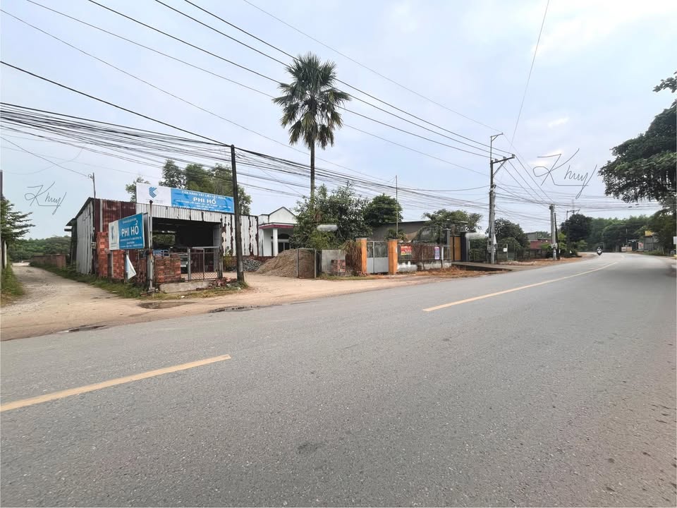 Bán đất 2000m² tại ấp 4 Phước Bình, xã Phước Thái - Giá chỉ 4 tỷ