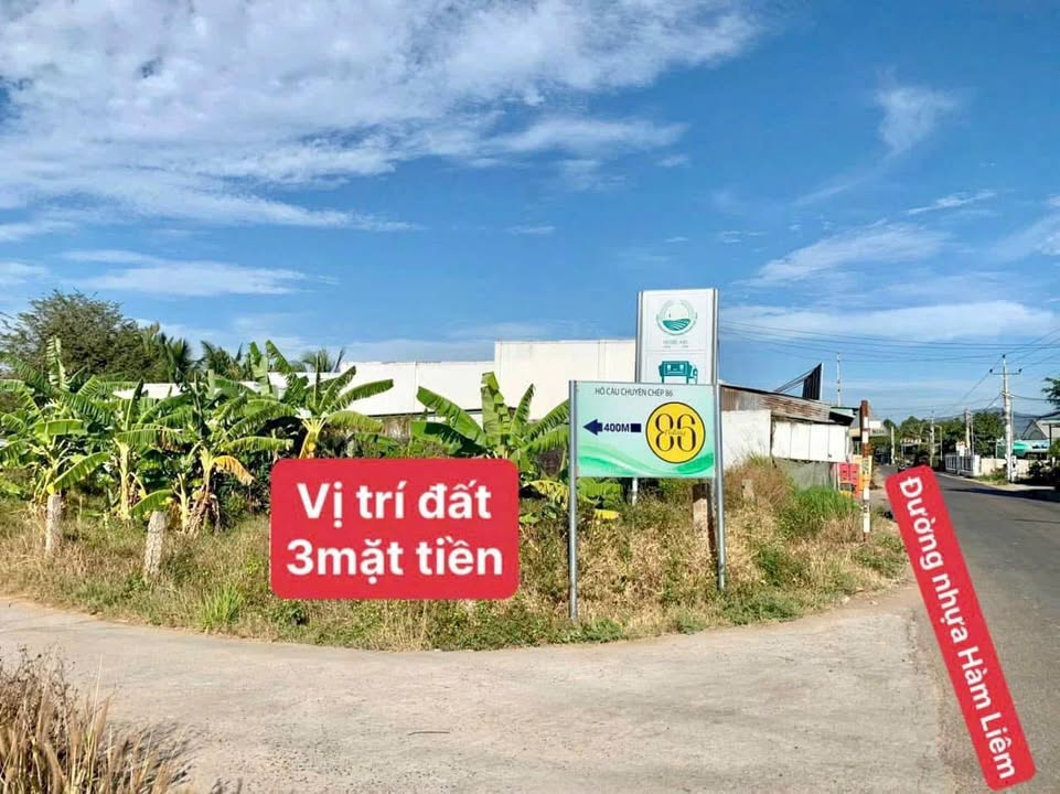 Đất thổ cư 260m² giá 1.15 tỷ tại Hàm Liêm - Cơ hội đầu tư tuyệt vời!