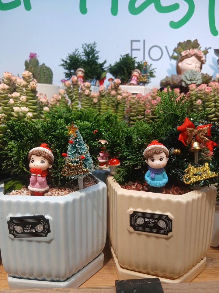 Đất thổ cư Thạnh Phú Vĩnh Cửu 100m² giá 1.55 tỷ - Sổ đỏ chính chủ!