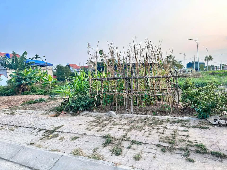 Đất thổ cư Thành Công, Khoái Châu 141,5m² - Đầu tư sinh lời hấp dẫn!