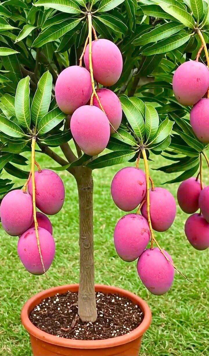 Lô đất Tân Cương Thái Nguyên 166m² giá 900 triệu - Đường ô tô tránh, thuận tiện kinh doanh!