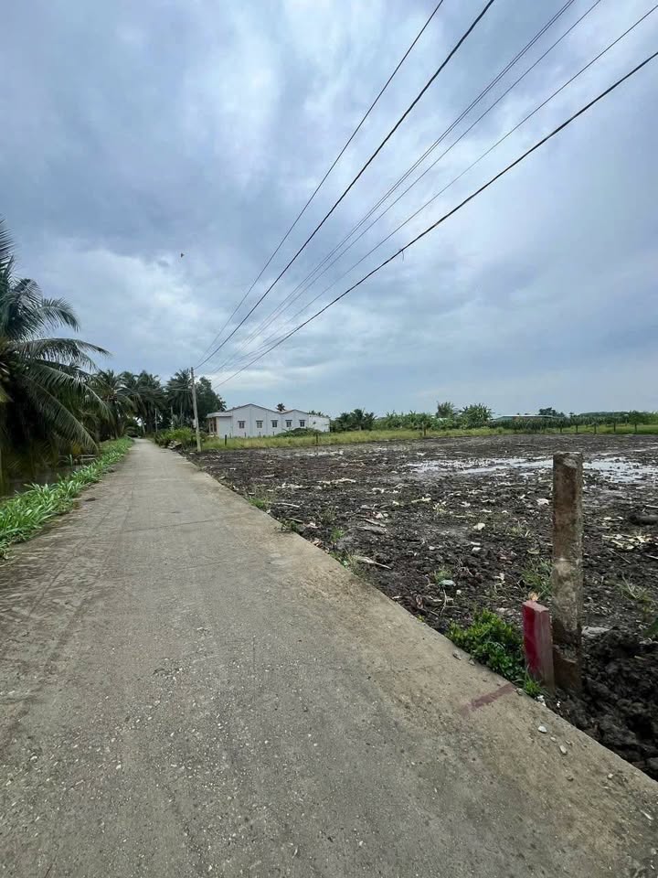 Đất thổ cư Tầm Vu Châu Thành 125m² giá 360 triệu - Đầu tư sinh lời ngay!