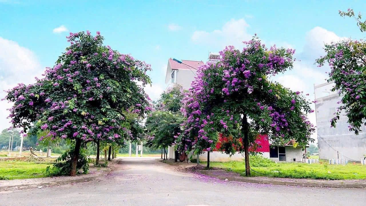 Đất liền kề khu đô thị River City Tam Nông 85m² giá 1.6 tỷ - Cơ hội đầu tư tuyệt vời!