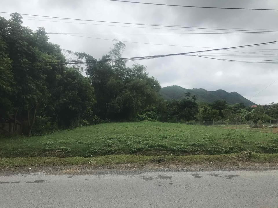 Đất nền Hương Lung Cẩm Khê 120m² giá 1.15 tỷ - Bán gấp, giá công khai!