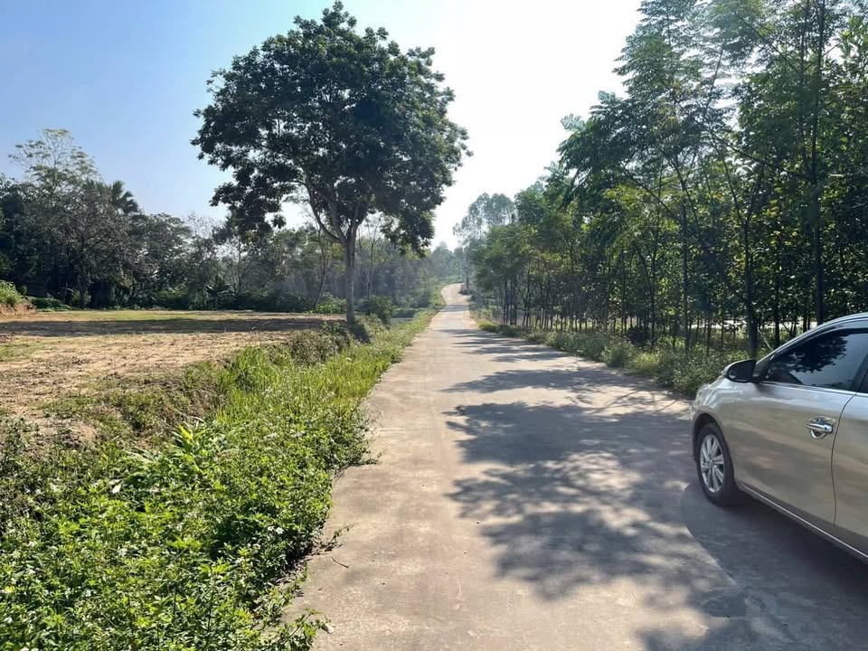 Đất nền Phú Lộc Phù Ninh 160m² giá 500 triệu - Bám mặt đường bê tông rộng rãi!